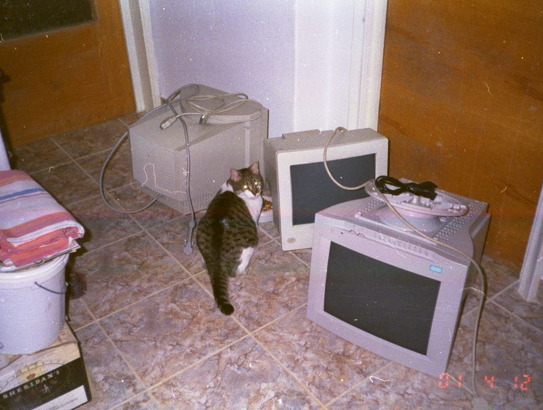 A cat among three old CRT monitors on a tiled floor